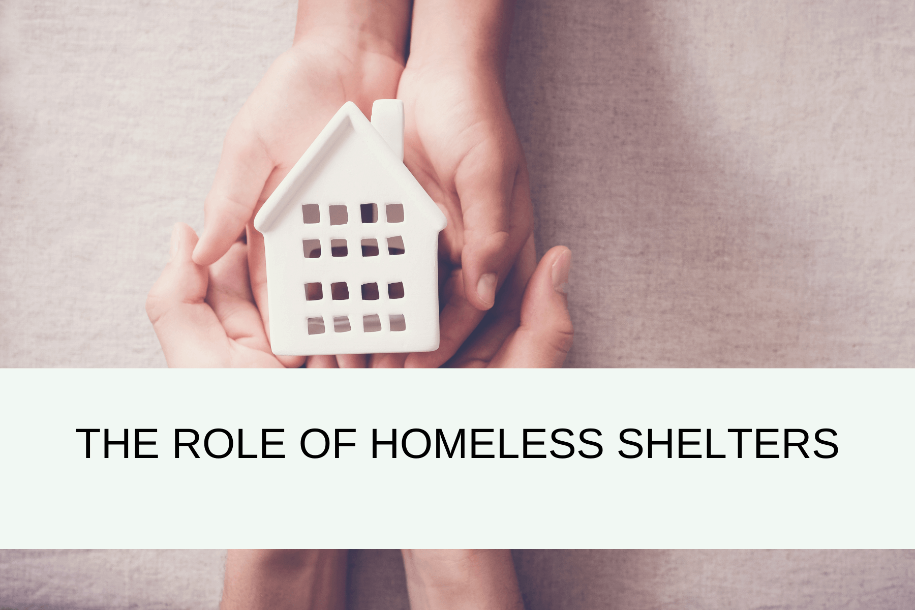 The role of homeless shelters.